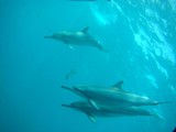 Pousada em Fernando de Noronha